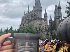 -哈利波特魔法世界