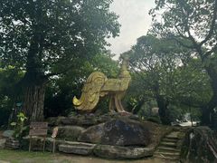 -云南勐巴娜西珍奇园