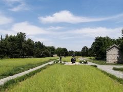 -北坞公园
