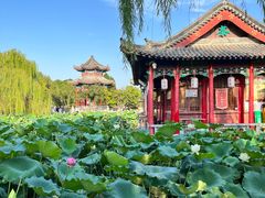 -济南大明湖景区