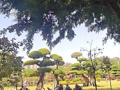 -南宁南湖公园