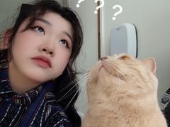 -Catmate·猫肥家润(金润铂宫店)