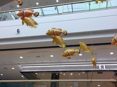 -万达广场(金堂店)