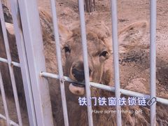 -太原动物园