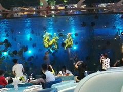 -瑞德姆美人鱼海底演艺主题餐厅(亚龙湾店)