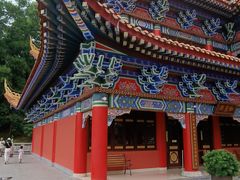 -东莞市大岭山森林公园