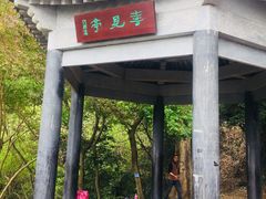 -羚羊峡古栈道森林公园