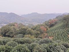 -十里琅珰