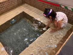 -中家鑫园温泉酒店鑫悦汤泉