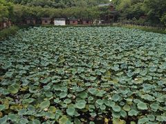 -李小龙乐园(顺德均安店)