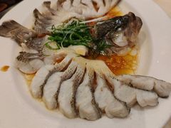 -稻香酒家·35年老字号(侨光店)