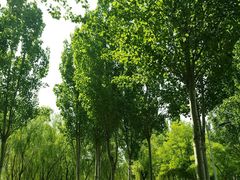 -秀水公园