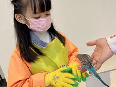 -怪兽屋·羊驼·猫咖·狗咖(俊华广场店)