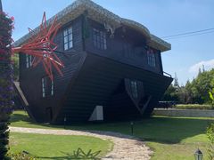 -金山农民画村-枫泾波兰倒置屋