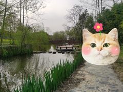 -黄陂区野村谷景区