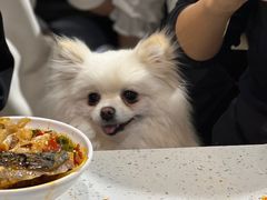 -蛙蛙鸡冷锅鱼(驷马桥店)