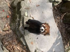 -杭州动物园