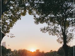 -万绿园