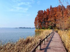 -东湖落雁景区
