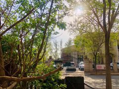 -叁秋咖啡 SANQIU COFFEE(天津河北路店)
