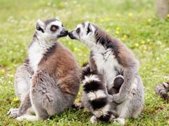 -杭州野生动物世界