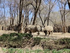 -北京野生动物园