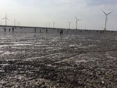-小洋口旅游度假区