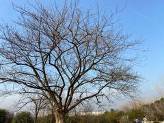 -南京市江宁方山