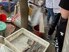 -尚庄度假村·庭台树下·户外烧烤·团建CS·轰趴营地(上庄水库店)