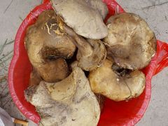 android_upload_pic-陈记牛肉馆(尚文书店店)