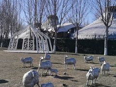 -九十九顶毡房(阜石路店)