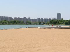 -金沙湖公园