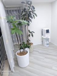 -HEYAN荷妍专业脱毛连锁机构