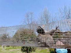 -合肥野生动物园