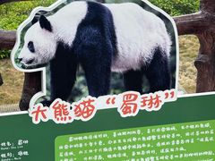 -柳州市动物园