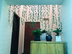 -愈元涵·手工艾灸