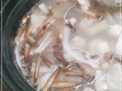 -探窝·竹笙椰子鸡(杨箕店)