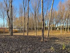 -东郊湿地公园