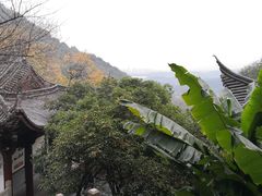 -韬光茶庵