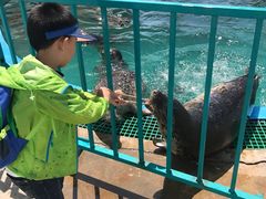 -北戴河圣蓝海洋公园