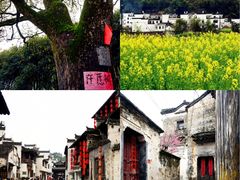 -新安江山水画廊风景区