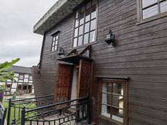 -金山农民画村-枫泾波兰倒置屋