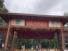-海口火山口国家地质公园