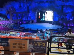 -广州长隆国际大马戏