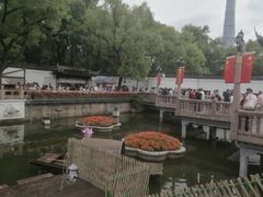 -豫园湖心亭茶楼