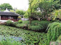 -上海醉白池公园