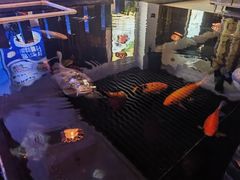 -优食坊·蒸汽海鲜(康盛路店)