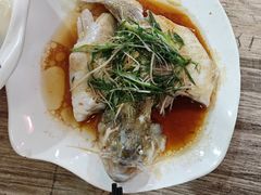 -东鸽皇(奥园·中环广场店)