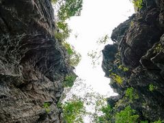 -玉石林风景区