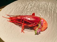 -地球美食剧场